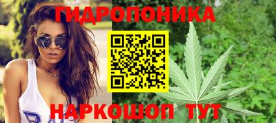 амф Канаш