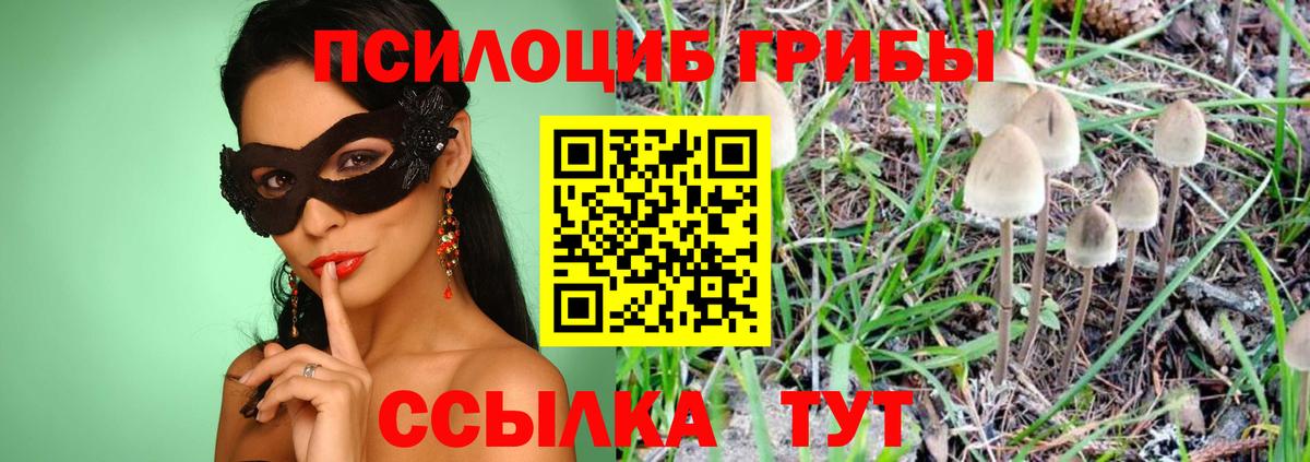 Галлюциногенные грибы Cubensis Ярцево