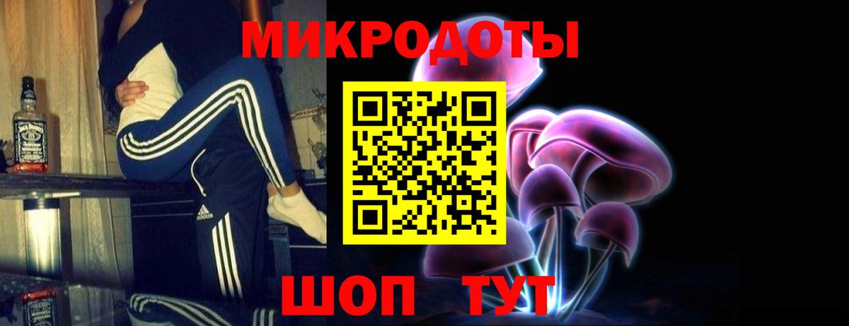 Ярцево  Галлюциногенные грибы прущие грибы  Вход с VPN 